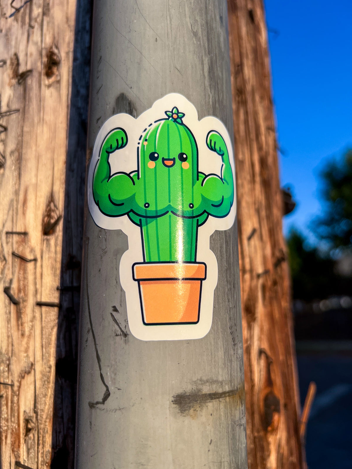 Cactus arms sticker on a lamp post